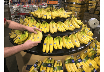 COVID-19 pandemic supports banana demand