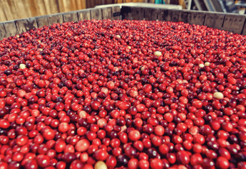 Sell cranberries on their nutritious and candy qualities — at the same time