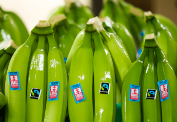 Backed by calls from producers, Fairtrade America ups its banana price minimums