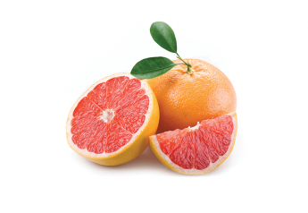 Florida grapefruit: getting small and then regrouping