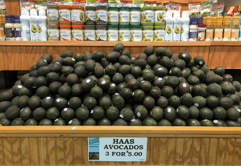 Avocado category shows 5.2% volume growth so far this year