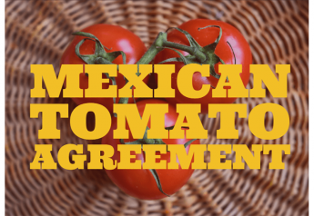 Florida Tomato Exchange: Many growers support ending U.S.-Mexico Tomato Suspension Agreement