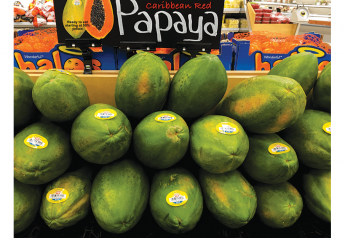 USDA seeks comments on draft pest risk assessment for Brazilian papayas
