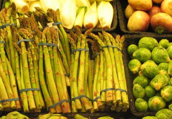 Fresh Trends 2023: 1 in 4 consumers report buying asparagus