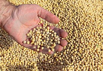 Adding Value to Soybeans Through Cattle