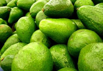 vegi-goodness-avocado-1509127-640x480