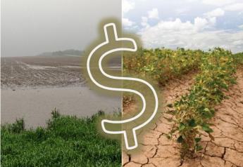 weather_crop_insurance_dollar_sign