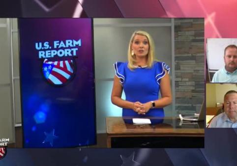Supply vs. Demand: Here's What You Need to Know Ahead of USDA's August Crop Reports