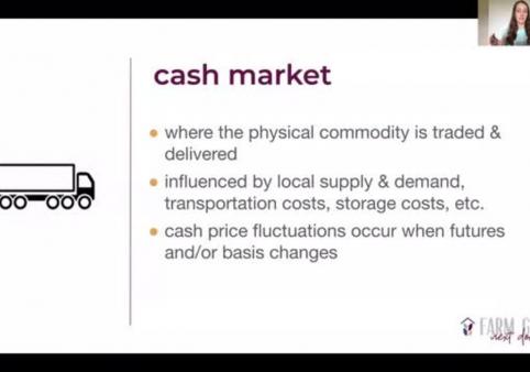 Understand The Basics of Basis