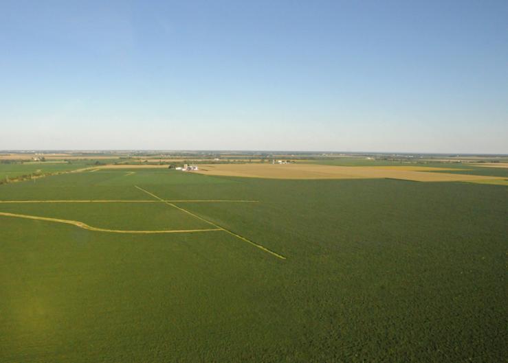 New Record $26,000/Acre Iowa Farmland Sale, Record Amount of Land Could Flood Market in Next 60 Days