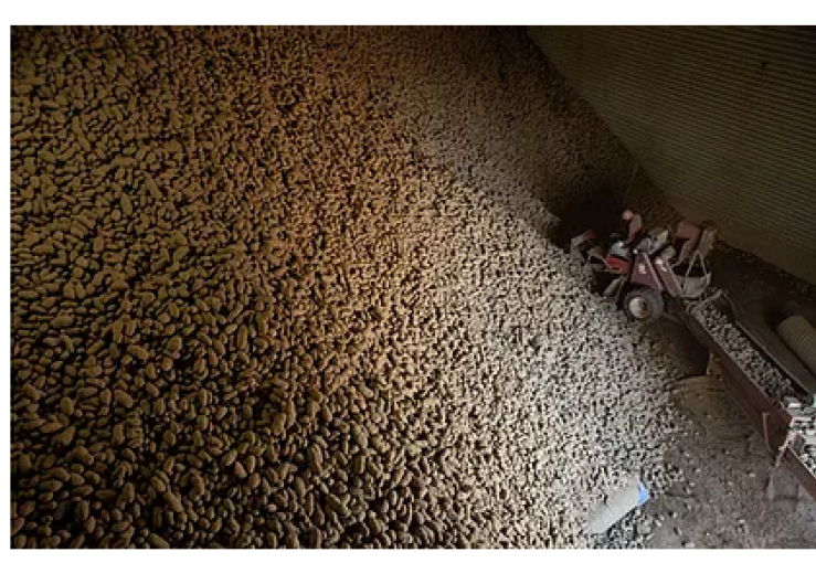 The organization has moved thousands of potatoes from the farm to people who need them.