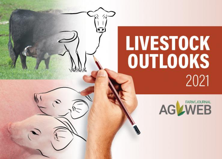 2021 Livestock Market Outlook Roundup