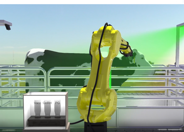 As cows leave the milking parlor, they will enter an exit lane with a series of automated gates. As they pass through the gates, an RFID system will track the identification number and medical history of each animal and determine whether she needs a vaccination or reproductive hormone.