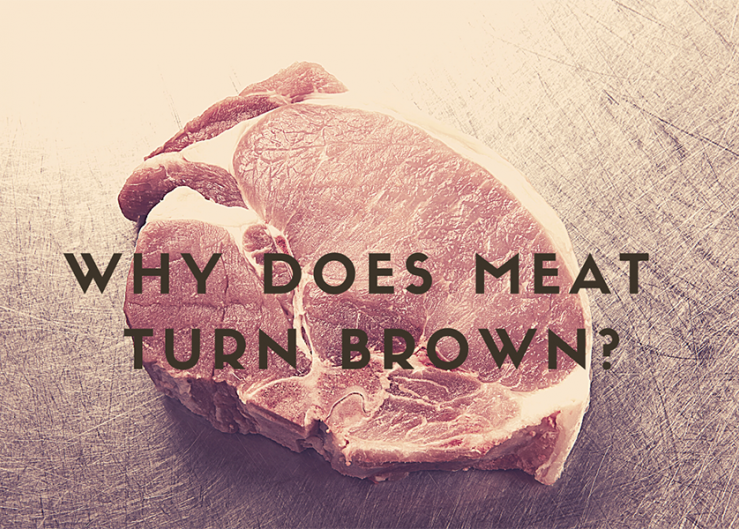 Why Does Meat Turn Brown?