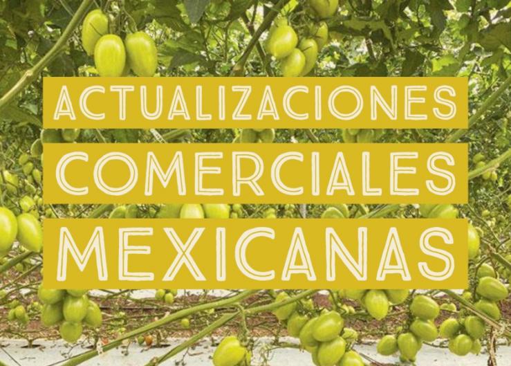 Mexican produce business updates