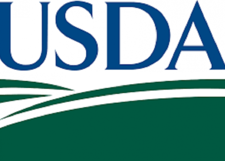 USDA allows imports of Spanish bell peppers under revised protocol