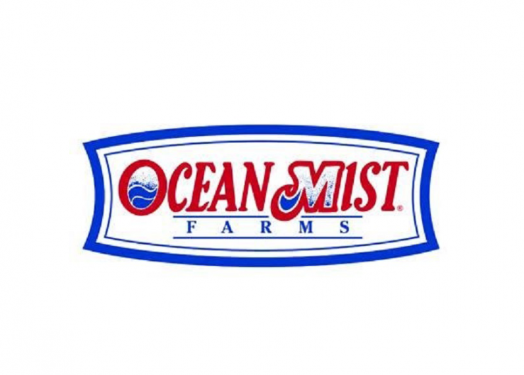Ocean Mist Farms looks for stable volumes