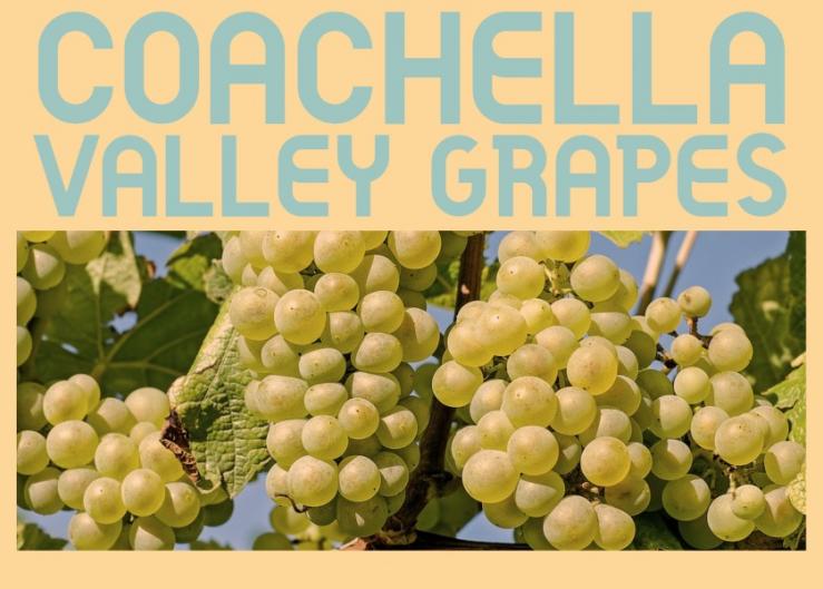 Coachella Valley grape output expected off slightly