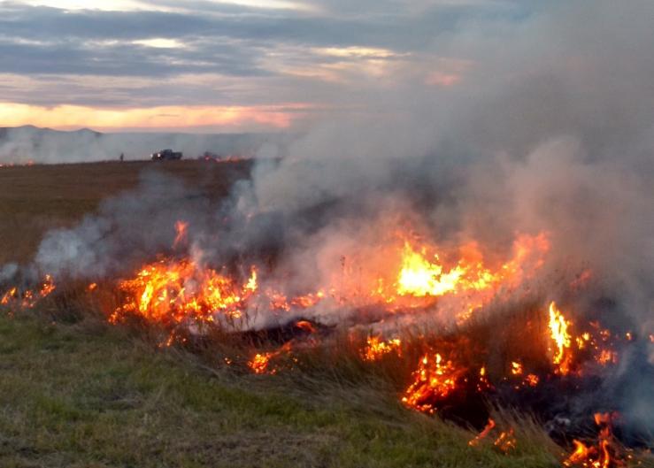 Wildfires Can Impact Grasslands