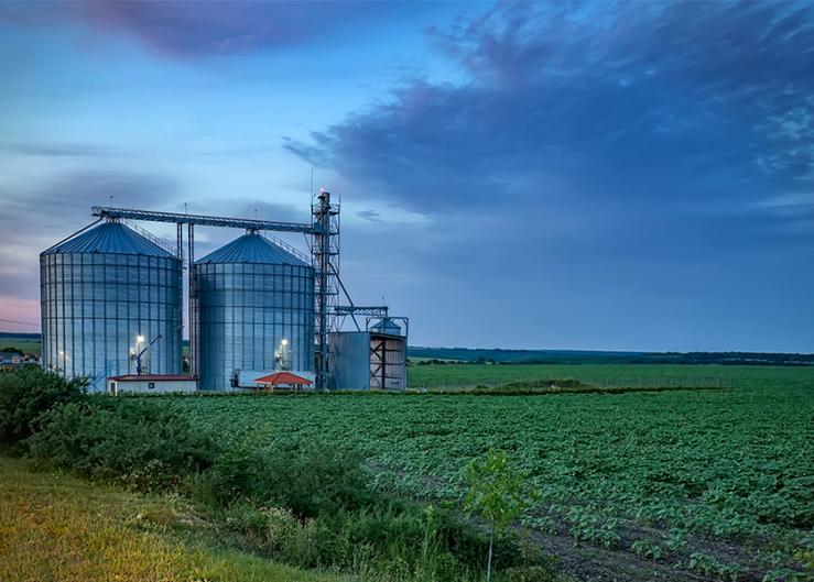 Iowa Farmland Prices Explode 29% Higher