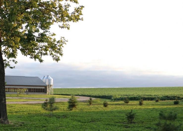 Fed Banks Report Sharp Gains in Farmland Values