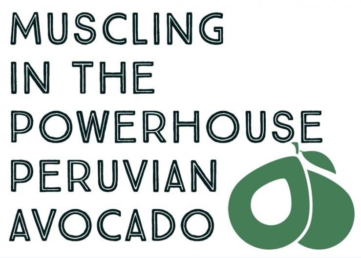 Muscling in the powerhouse Peruvian avocado