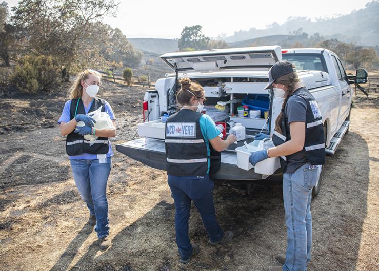 California Launches Team to Provide Aid to Livestock and Domestic Animals During Emergencies