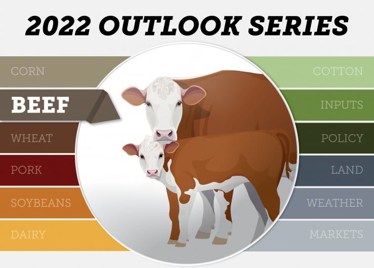 Cattle Outlook Optimistic for 2022
