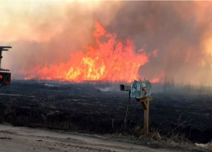 Hurricane-Force Winds Spark Wildfires in Kansas, Destroying Homes and Killing Cattle