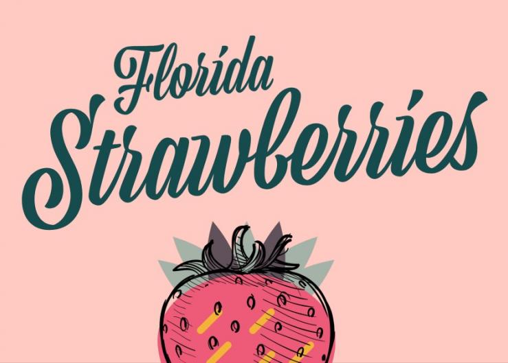 Florida strawberry business updates