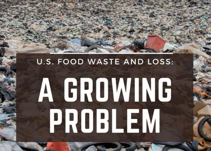 Food Waste is a Growing Problem in the U.S.