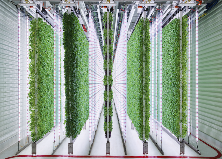 Walmart invests in indoor vertical grower Plenty