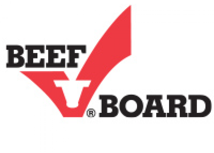 Cattlemen’s Beef Board Elects New Officers