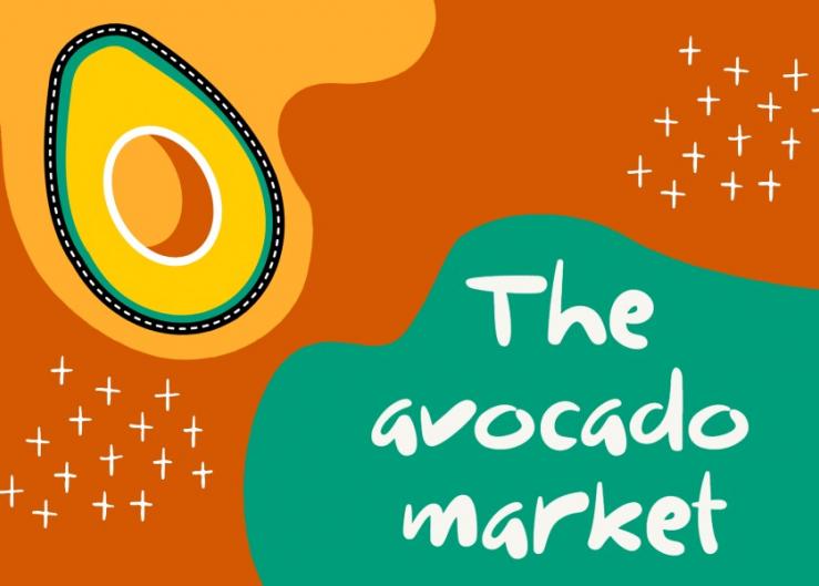 Avocado market peaking with strong Super Bowl demand