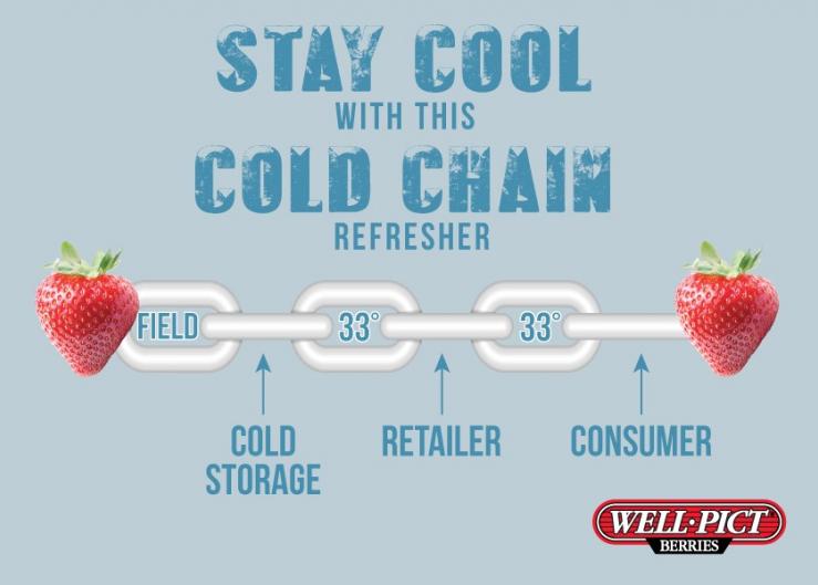 Sponsored by Well-Pict : STAY COOL WITH THIS COLD CHAIN REFRESHER