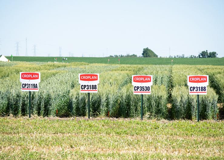 WinField United Expands Answer Plot Program to Research Farm In North Dakota