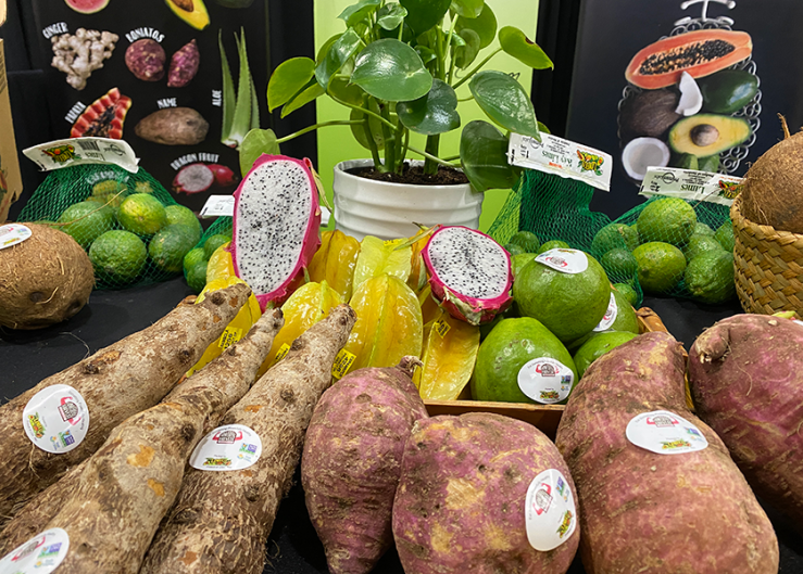 How to sell produce from Central America, the Caribbean 
