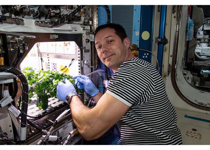 NASA sowing seeds for space salsa 