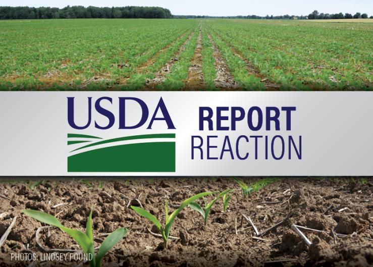 PF Report Reaction: USDA's report data fails to provide bullish spark