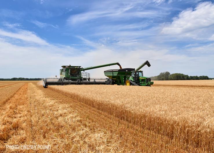 https://cdn.farmjournal.com/s3fs-public/styles/739x529/public/2023-03/Wheat-Harvest-Combine-Grain%20Cart-Lindsey-Pound15.jpg