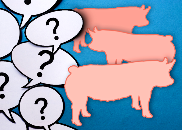 More Uncertainty for Pork Industry in a Very Uncertain Market