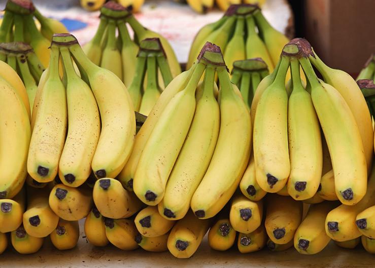 Cedro Banana Distributors takes on tropicals shortfall