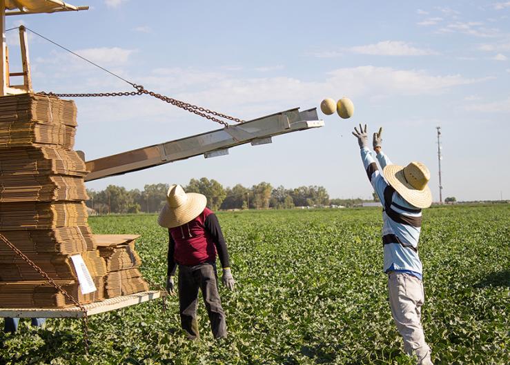 Grower Advisory Board - Grand Farm