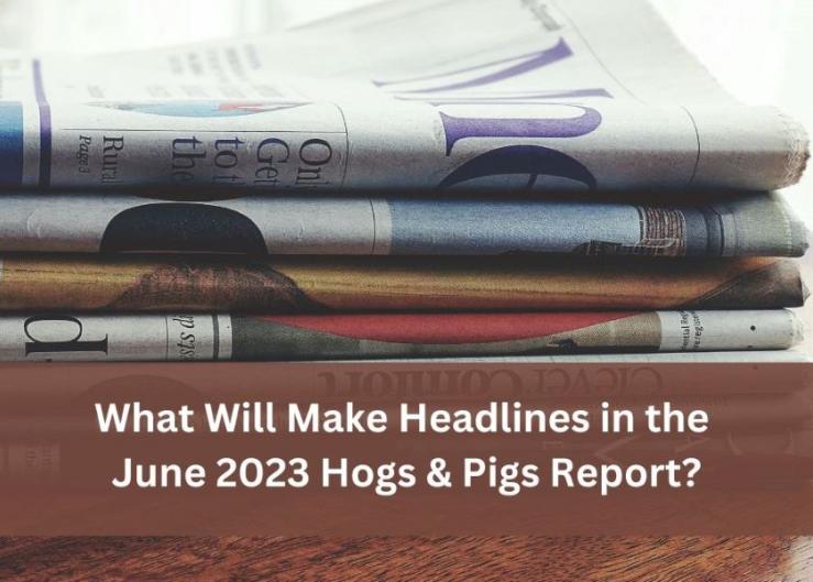 What Will Make Headlines in the June 2023 Hogs & Pigs Report?