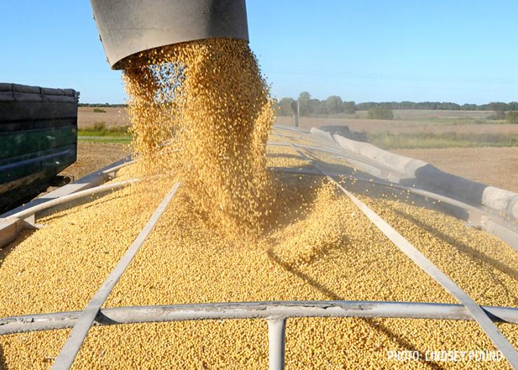 EU Seeks Revised GMO Rules to Loosen Curbs on Gene-Edited Crops