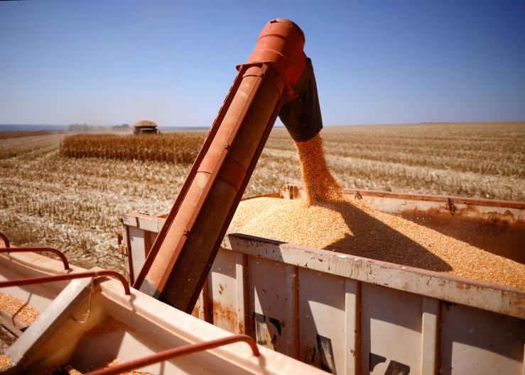 Brazil Clears Bottlenecks to Oust US as Top Corn Exporter