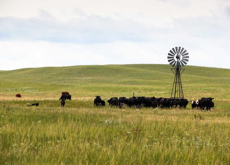 Nebraska Farmer-Led Field Day is Friday