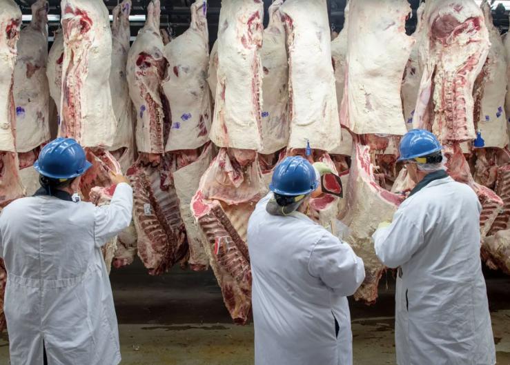 New Price-fixing Suit Aimed at Big 4 Beef Packers