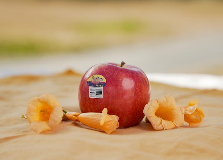 Promotable volumes on Washington pears, especially organic