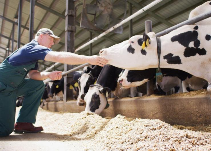 Athian and Elanco Animal Health Team Up to Transform Food Production through Methane Reduction